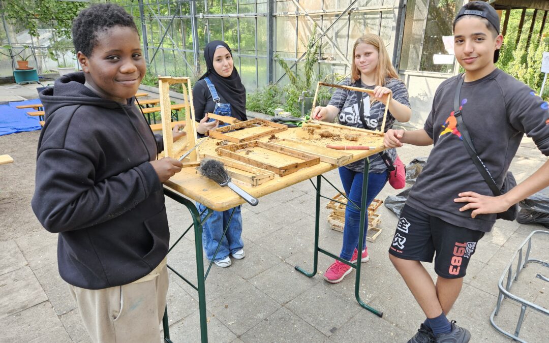 Peer Helper starten Bienenprojekt im Rahmen von „Bewegte Freizeit“